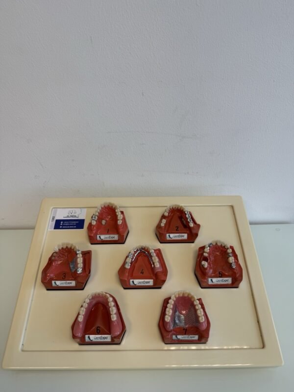 Go Dent Schaumodelle 1-7 Modellset Patienteninformation Art. Nr. GO-2 Gold Zähne